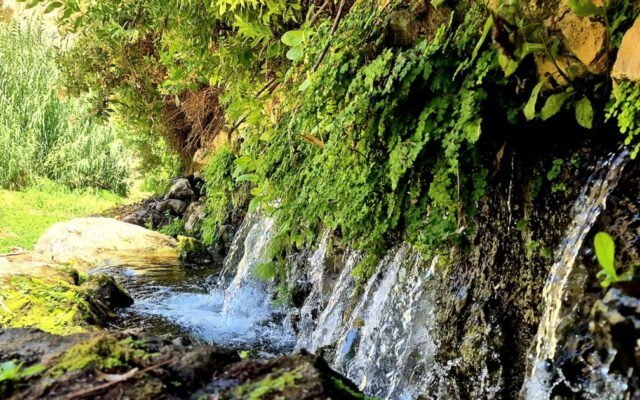 ارتفاع طفيف في الحرارة مع بقاء الأجواء دون المعدلات السنوية