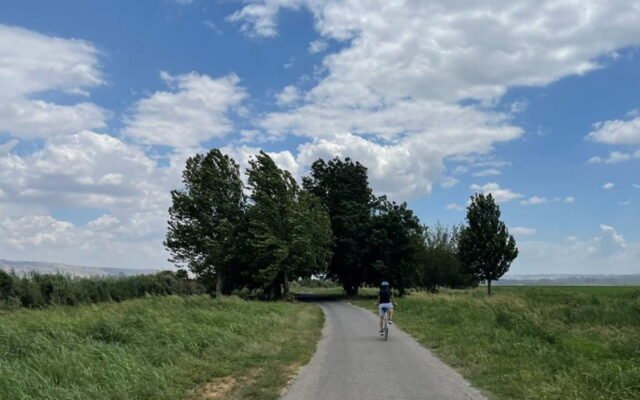 الطقس: أجواء غائمة جزئياً ودرجات الحرارة حول المعدل