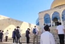 دائرة الأوقاف: اقتحام 1195 مستوطناً للمسجد الأقصى اليوم
